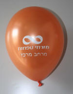 ����� ������ ���� �����